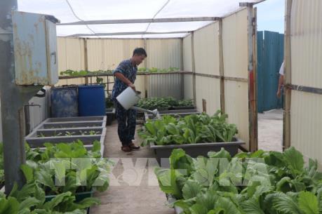 Sức Xuân nơi đầu sóng: Bài 3-Ươm những "mầm xanh"