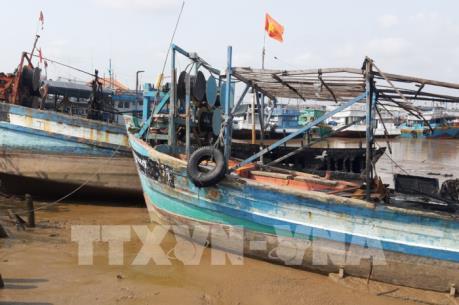Cháy 5 tàu cá đánh bắt xa bờ, thiệt hại ước khoảng 13 tỷ đồng