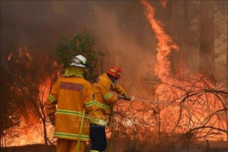 Định lượng "được" và "mất" của kinh tế Australia sau thảm họa cháy rừng lịch sử (Phần 1)