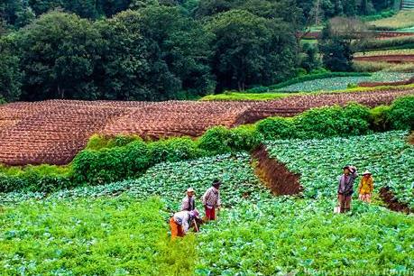 Indonesia và UAE ký 16 thỏa thuận hợp tác