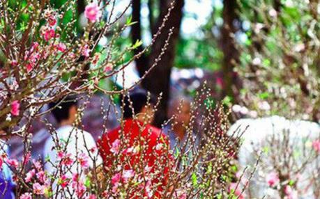 Dự báo thời tiết 10 ngày tới: Bắc Bộ đêm và sáng trời rét