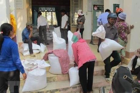 Xuất gạo hỗ trợ nhân dân bị ảnh hưởng thiên tai, dịch bệnh tỉnh Nghệ An 