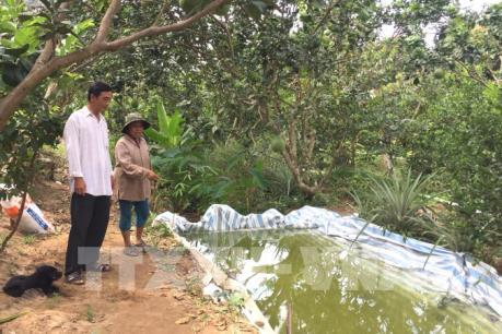 Phòng chống hạn mặn - Bài 1: Hạn mặn đến sớm đe dọa sản xuất, đời sống