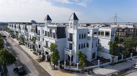 HVH tạm ứng cổ tức bằng tiền mặt 5%