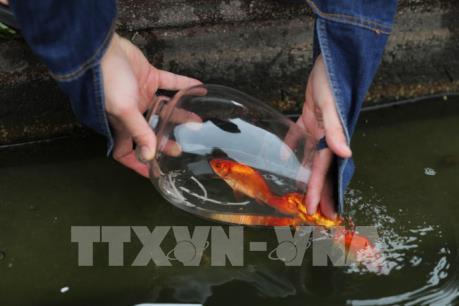 Những hiểu lầm cần tránh khi cúng ông Công ông Táo