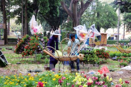 Khai mạc nhiều chợ Tết, hội hoa Xuân 2020