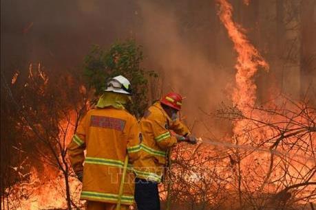 COVID-19 cản trở nỗ lực tái thiết sau thảm họa cháy rừng ở Australia