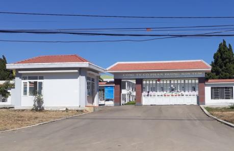 CTCP Đường Kon Tum sẽ trả tiền thu mua mía cho người dân theo 2 đợt