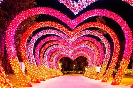 Những trải nghiệm rực rỡ tại lễ hội hoa Xuân quy mô nhất Việt Nam