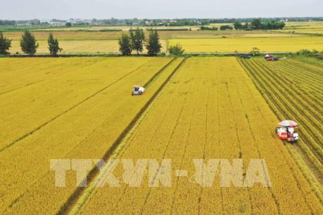 Kỷ niệm 90 năm ngày thành lập Đảng: Bứt phá bằng tư duy và tầm nhìn mới