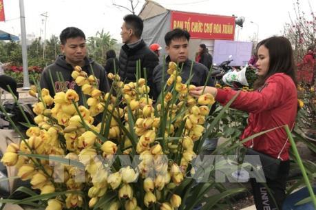 Dự báo thời tiết ngày 29 Tết: Bắc Bộ hửng nắng trước khi đón không khí lạnh