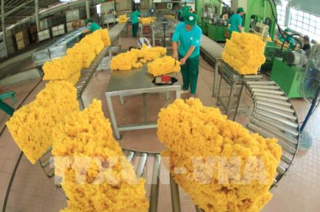 Nông nghiệp Việt Nam và mục tiêu xuất khẩu trên 43 tỷ USD