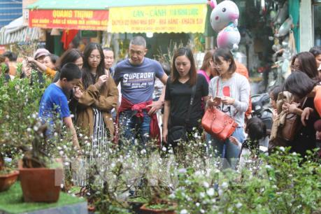 Chợ hoa truyền thống Hàng Lược (Hà Nội)