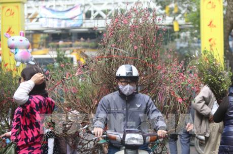 Dự báo thời tiết ngày 30 Tết: Bắc Bộ và Bắc Trung Bộ có mưa, trời rét
