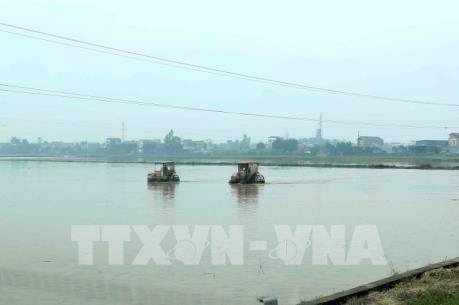 Dòng chảy ở mức tốt để lấy nước gieo cấy vụ Đông Xuân