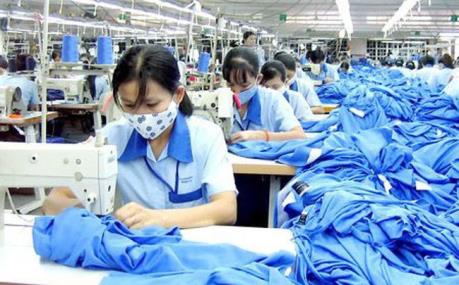 TCM báo lãi quý IV/2019 tăng 35%