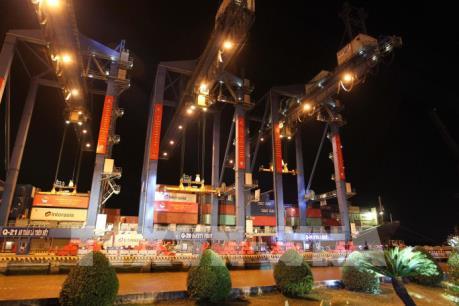 Tổng công ty Tân Cảng Sài Gòn phát lệnh làm hàng đầu Xuân Canh Tý 2020