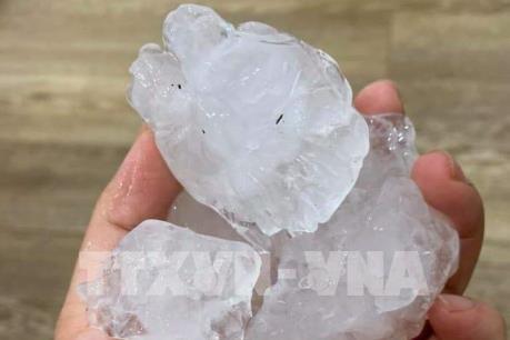 Bộ trưởng Nông nghiệp làm việc tại Bắc Kạn về khắc phục thiệt hại do mưa đá