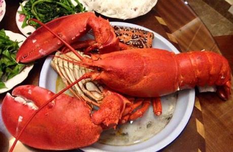 Những tín hiệu vui trên thị trường xuất khẩu tôm hùm Mỹ