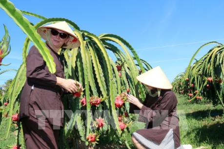 Thủ tướng phê duyệt nhiệm vụ lập Quy hoạch tỉnh Bình Thuận tầm nhìn đến năm 2050