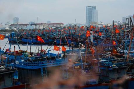 Phát triển kinh tế biển Đà Nẵng-Bài 1: Gìn giữ “chất biển” làm nền tảng cho sự phát triển