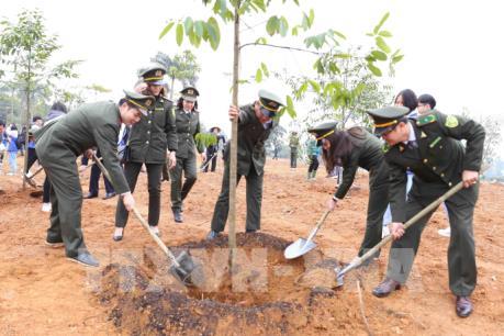 Phó Chủ tịch nước Đặng Thị Ngọc Thịnh phát động Tết trồng cây tại Đền Hùng