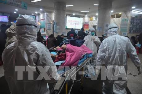 Ngày càng nhiều nước lên kế hoạch sơ tán công dân khỏi nơi có dịch do virus Corona