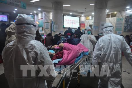 Dịch do virus corona: Trung Quốc cam kết sớm đưa công dân về nước