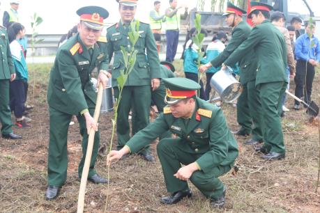 Năm 2020 sẽ trồng hơn 80.000 cây xanh dọc các tuyến quốc lộ