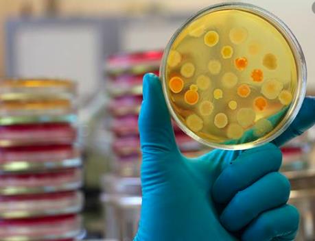 Dịch bệnh viêm phổi do virus Corona: Novacyt giới thiệu phương pháp xét nghiệm mới