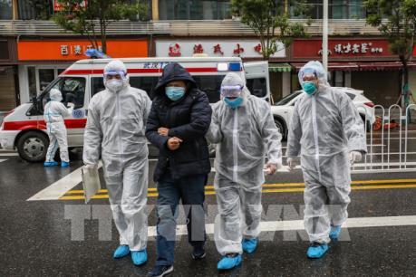 Dịch do virus Corona: EU chi 10 triệu euro hỗ trợ nghiên cứu