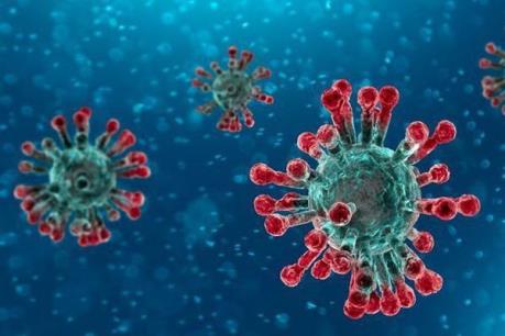 Bệnh nhân Trung Quốc tại Bến Tre âm tính với virus Corona