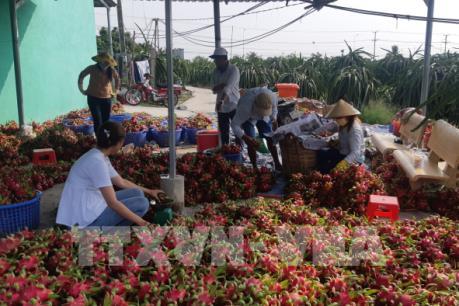 Theo dõi sát tình hình sản xuất và lưu thông nông sản
