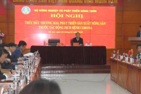 Dịch do virus Corona: Các kịch bản tiêu thụ nông sản