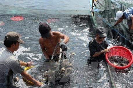 SSI nhận định nhiều nhóm ngành có thể bị ảnh hưởng tiêu cực vì dịch vius Corona