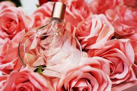 Chọn quà cho bạn gái dịp Valentine này