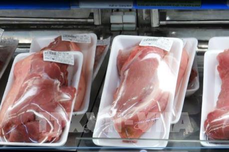 Nhiều doanh nghiệp giảm giá lợn xuống 75.000 đồng/kg
