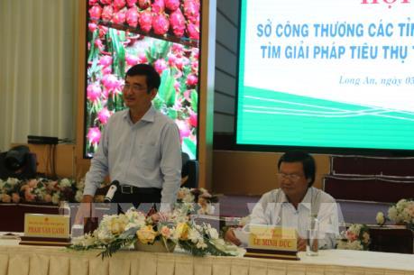 Dịch do Virus Corona: Tìm giải pháp tiêu thụ thanh long