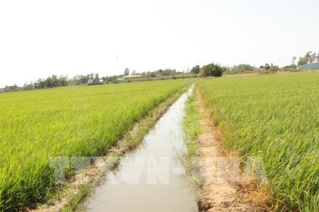 Bàn giải pháp ứng phó với khô hạn và xâm nhập mặn