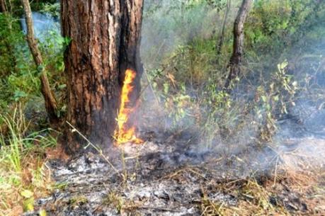 Một căn nhà bị thiêu rụi vì người dân đốt thực bì gần đó