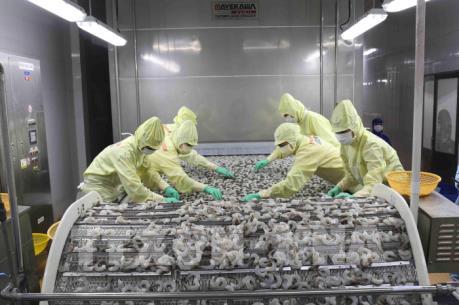 Cách tăng thị phần mặt hàng xuất khẩu vào New Zealand