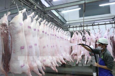 Khuyến nghị doanh nghiệp chăn nuôi giảm giá thịt lợn xuống dưới 75.000 đồng/kg