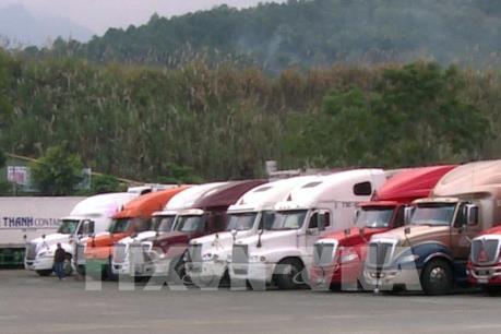 Lào Cai tìm cách gỡ khó cho nông sản trước tác động của dịch bệnh