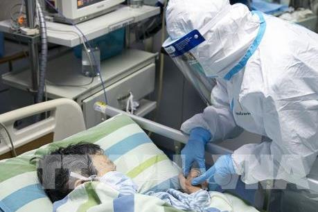 Dịch COVID-19: Các nhà khoa học tìm ra điểm yếu của virus