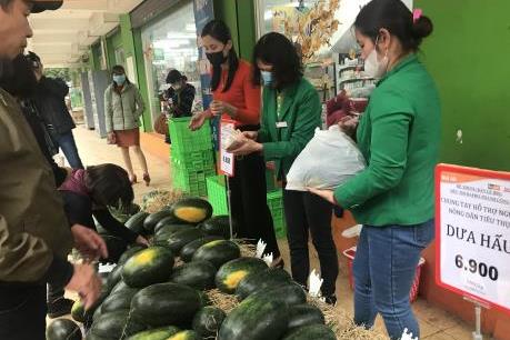 Hệ thống bán lẻ BRG hỗ trợ nông dân tiêu thụ trên 200 tấn dưa hấu 