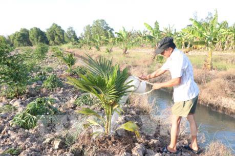 ĐBSCL: Nhiều nơi mặn xâm nhập sâu hơn so với năm 2016