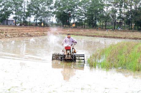 Gần 71% diện tích đã có nước gieo cấy vụ Đông Xuân