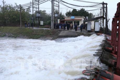 Điện lực miền Bắc đảm bảo điện cho lấy nước đổ ải, gieo cấy vụ Đông Xuân