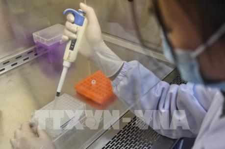 Sẽ sớm có kết quả thử nghiệm kit thử nhanh chủng virus Corona mới trên mẫu bệnh phẩm thực
