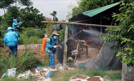 Thanh Hóa khẩn trương dập dịch cúm gia cầm A/H5N6